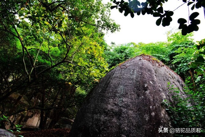 厦门海边之旅,厦门小众旅游体验
