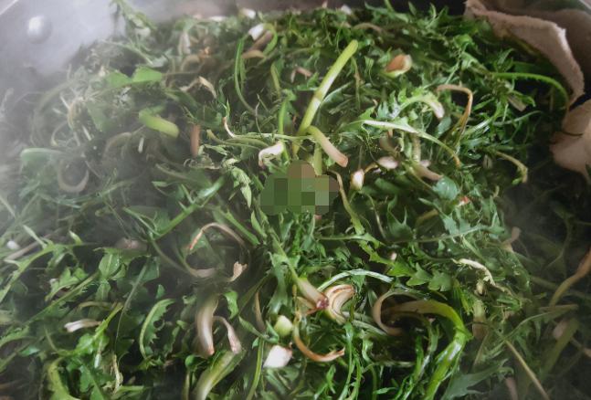 自制蒲公英茶为什么要杀青,蒲公英晒干了就可以直接泡水吗