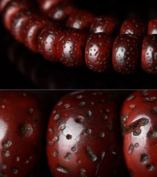 星月菩提中最高形态,星月菩提各个时期的变化