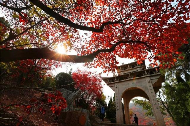 济南旅游景点推荐带孩子玩,济南旅游景点推荐适合带孩子