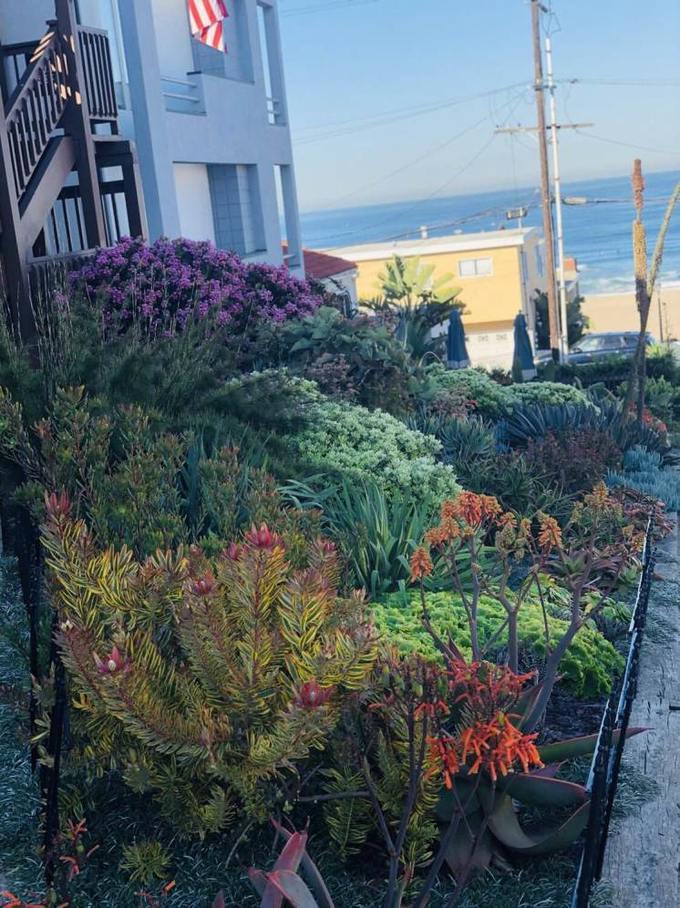 美国自由行加州洛杉矶之旅,美国洛杉矶20天旅游线路