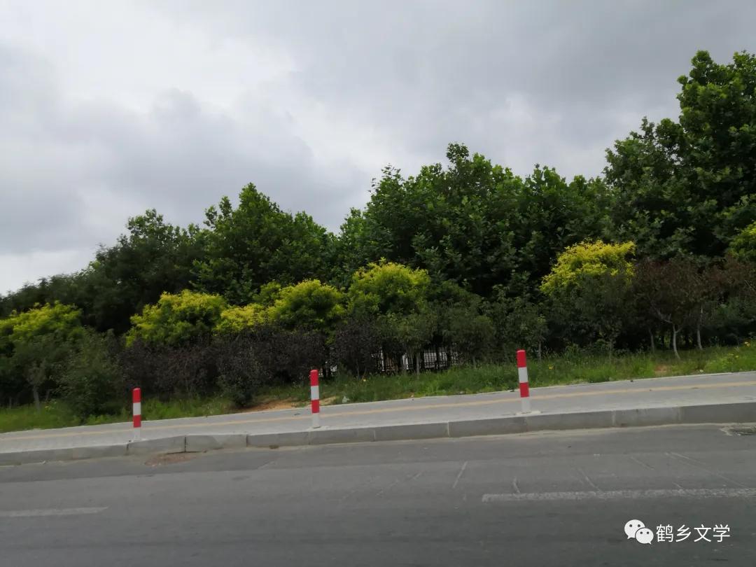 有关韩嘉川的视频,韩嘉川代表作品