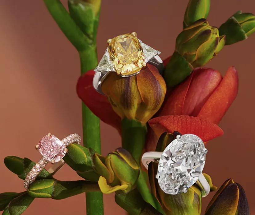 我们该怎么看世界,我们怎么看热刺