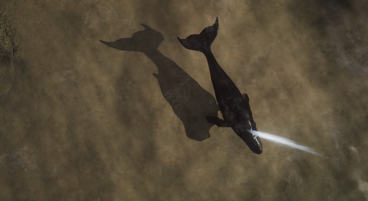 剑网三大唐三大风雅之地,剑网3雪橇三傻