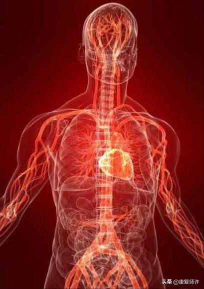 产后腹直肌分离恢复瘦肚子训练,产后腹直肌分离恢复的最佳方法