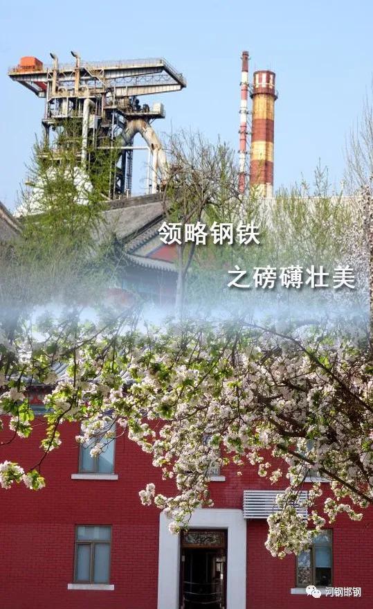 娌抽挗閭挗閾佽矾,娌抽挗閭挗楂樼倝