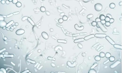 男士夏天外裤多久换一次,男士内裤需要每天更换吗