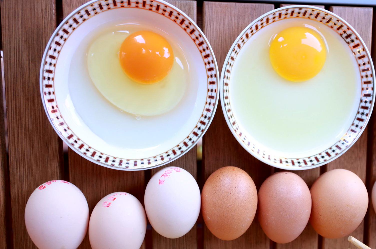 农业产业孵化,走进乡村看小康贵州