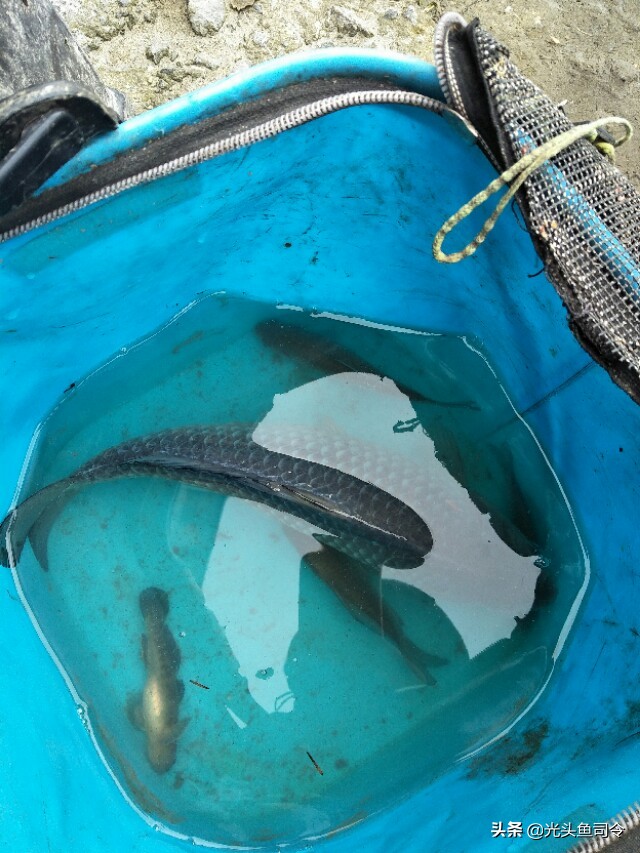 夏天钓鱼不开口的原因及解决方法,冬季钓鱼鱼不开口应对的办法