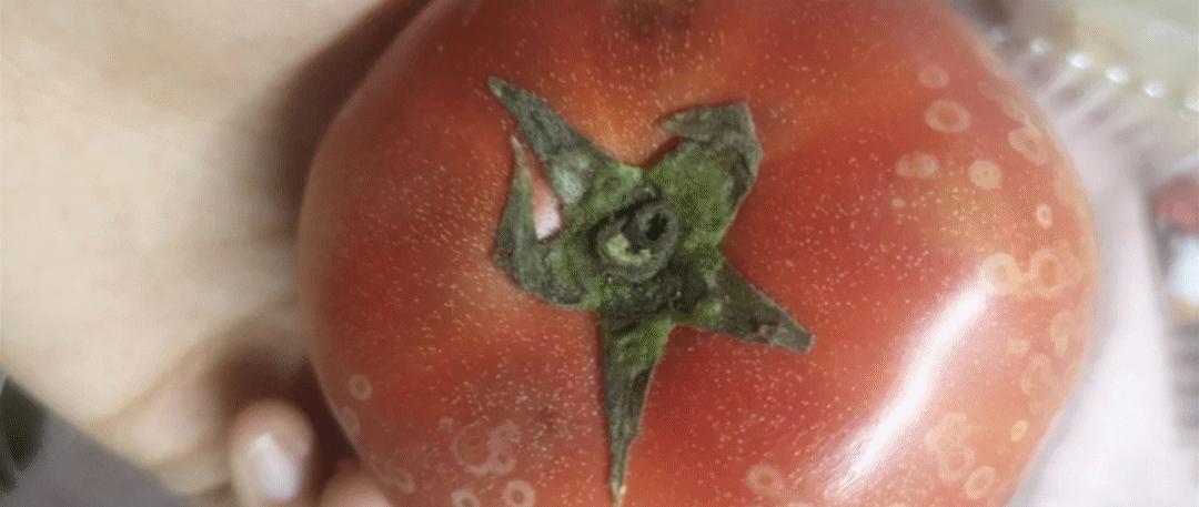 手机买菜平台有哪些,深圳人在哪个app上买菜