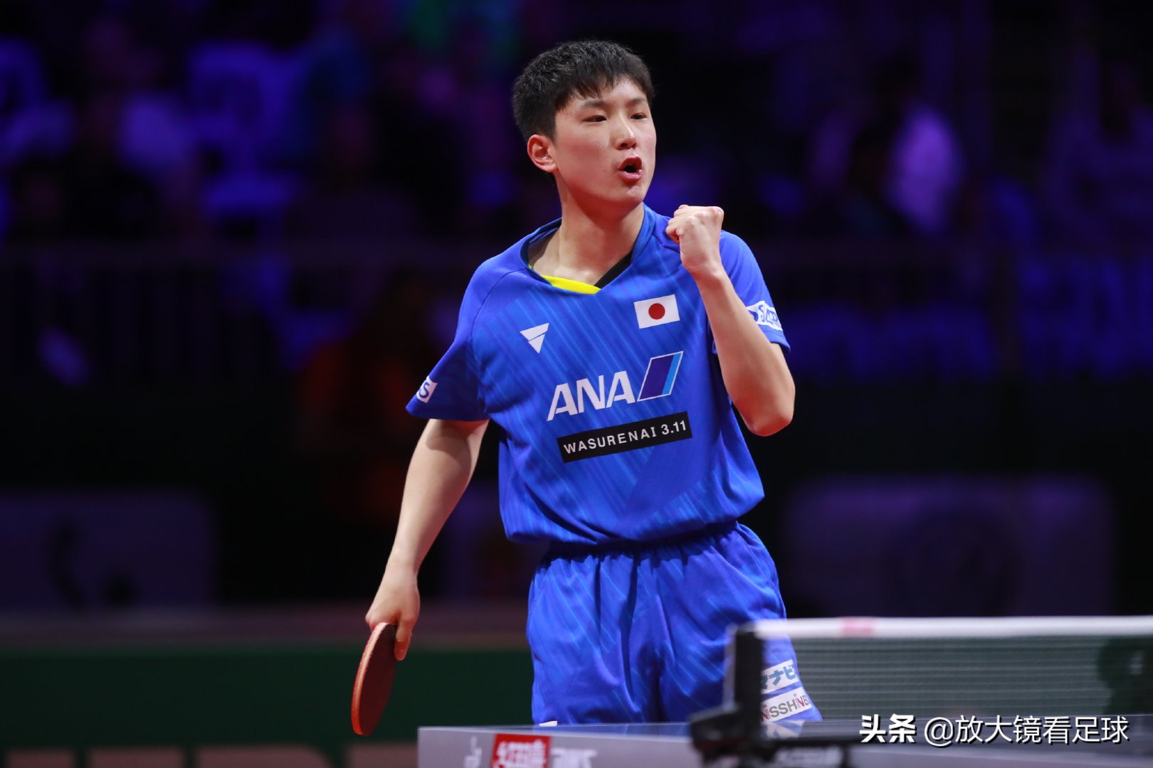 张本智和的妹妹比赛视频,张本智和的妹妹在打球吗