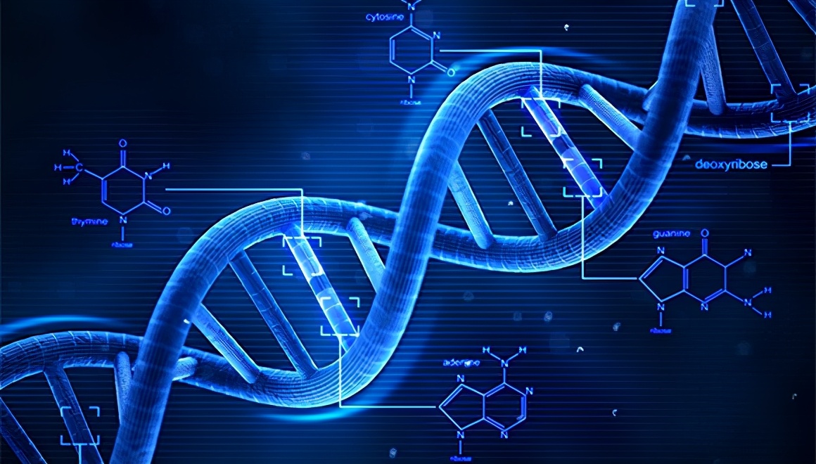 资本思维与金融思维,线性思维和指数型的区别