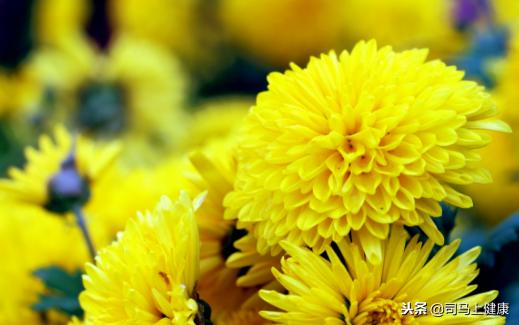 中药调理三叉神经痛的方子,杨以宁治疗三叉神经痛的方子