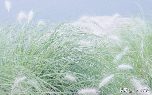 动词短语中介词不省略,动词介词用法最全总结