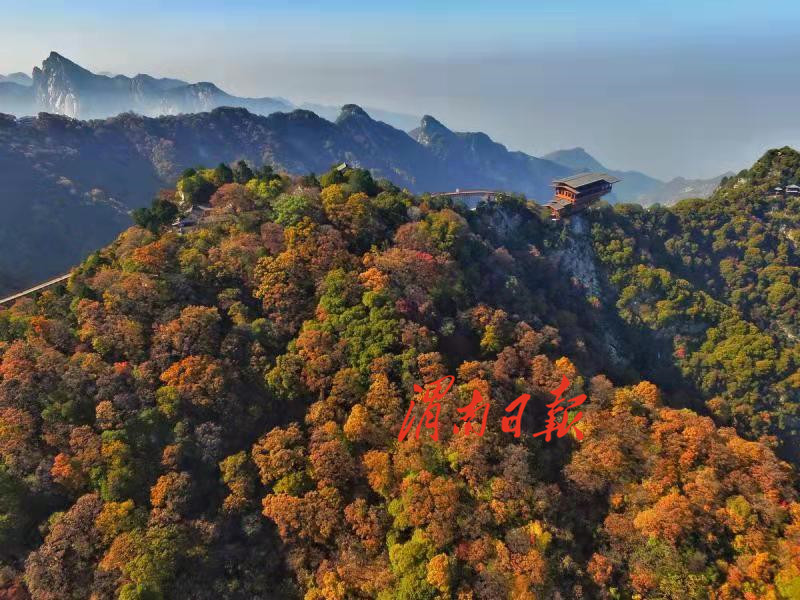 约吗？看红叶，我在少华山等你