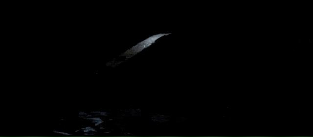 50万一只的波士顿机器狗,中国购买的波士顿机器狗