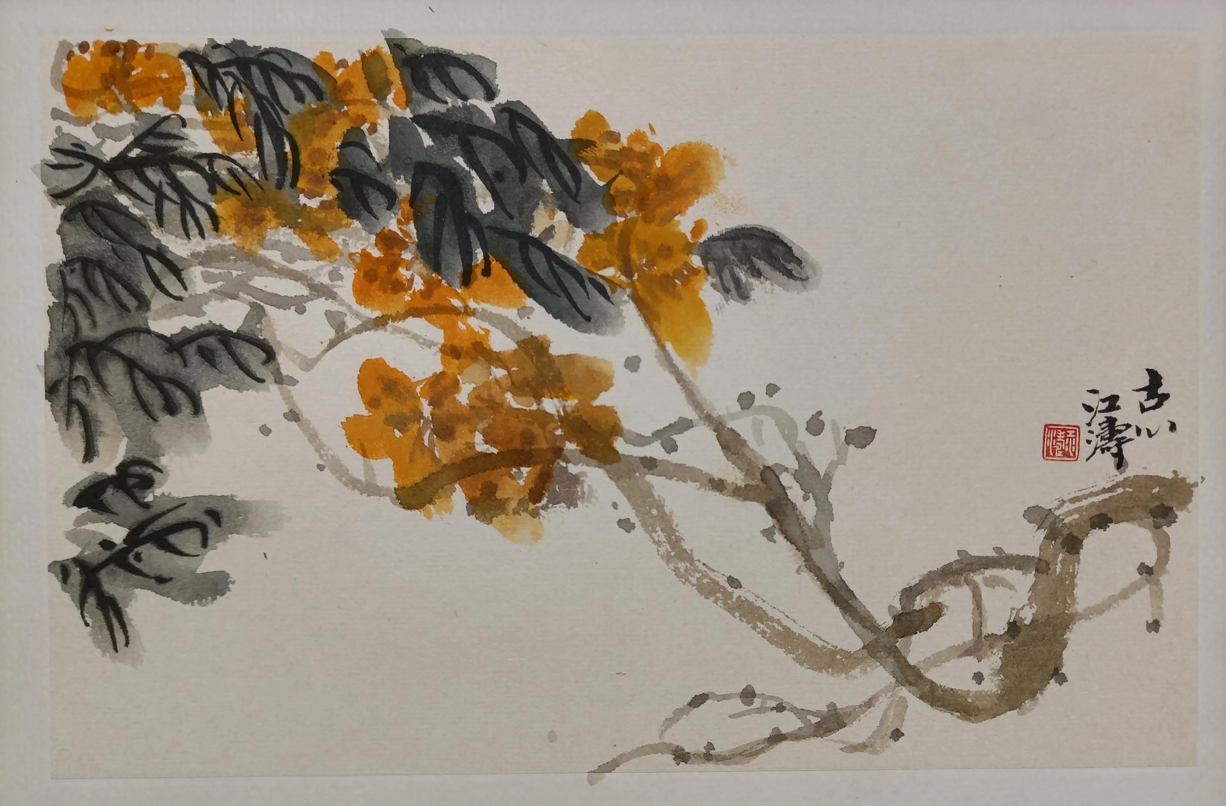 中国书法家江涛,中国墨江介绍视频