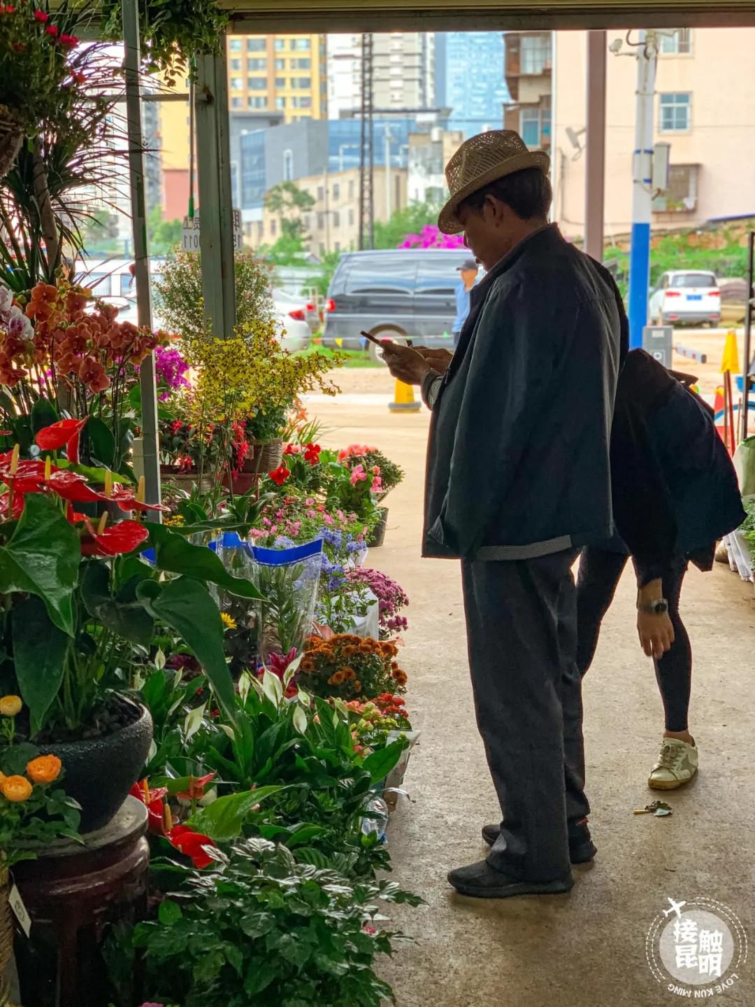 昆明鲜花进货渠道,昆明尚义花市