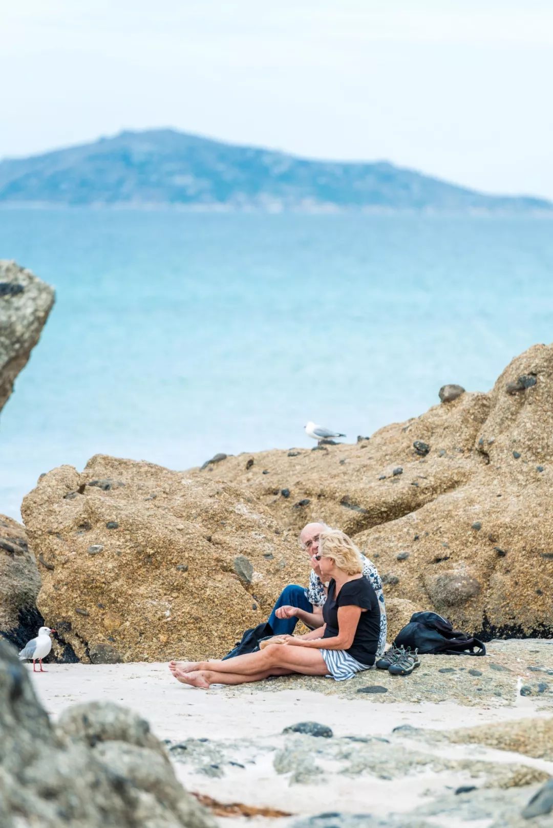 悉尼到阿德莱德自驾游,澳大利亚阿德莱德悉尼距离