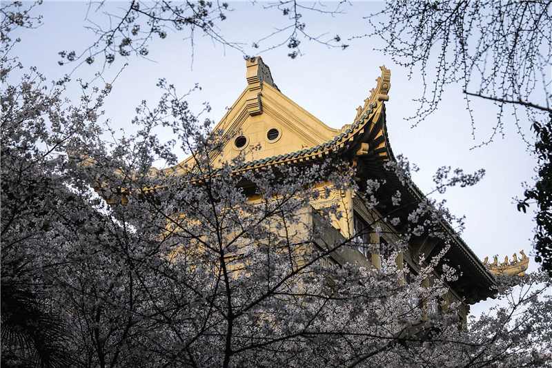 武汉是全球大学生最多城市吗,2020武汉全世界大学生最多的城市