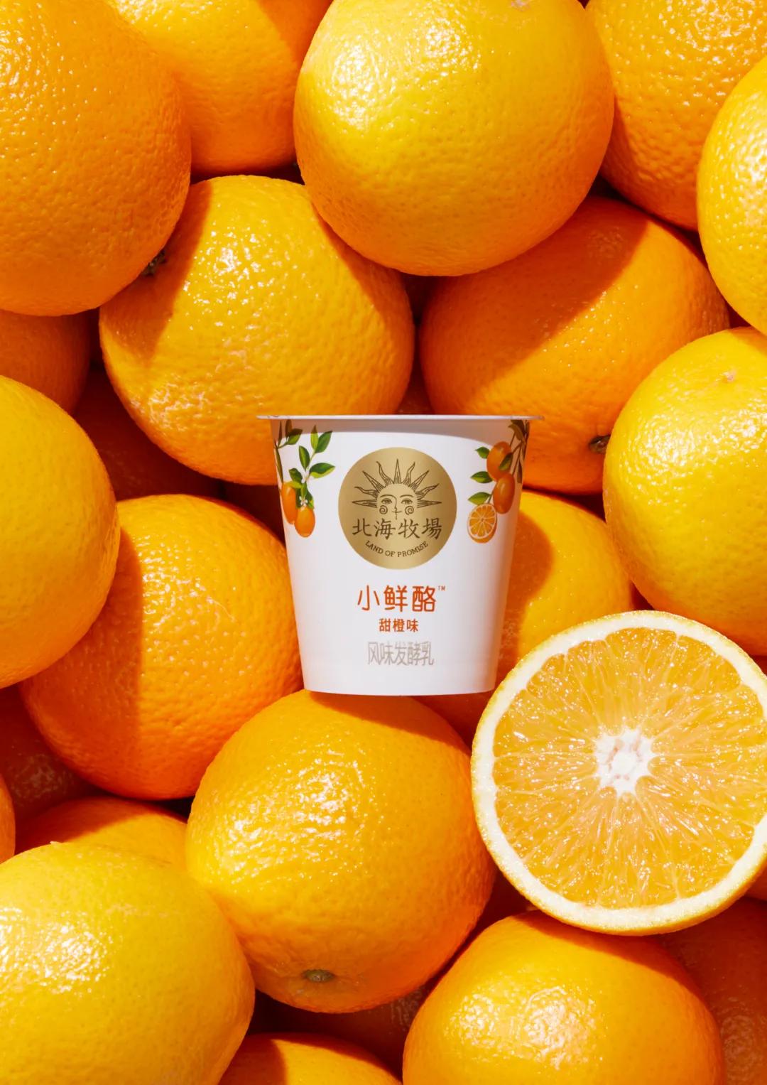 北海牧场酸奶推荐,北海牧场酸奶临期