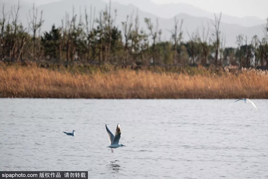 人在北京旅游,北京人在北京游玩的地方有哪些