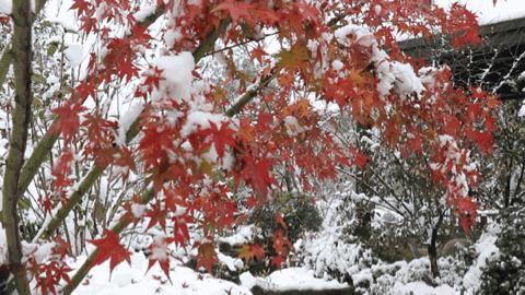 杭州温泉网红打卡地,杭州十大顶级温泉