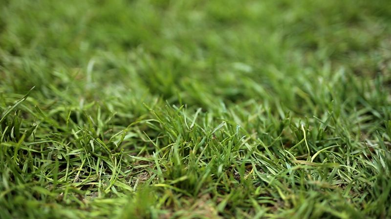 武汉卓尔主场在哪,武汉卓尔足球最新视频