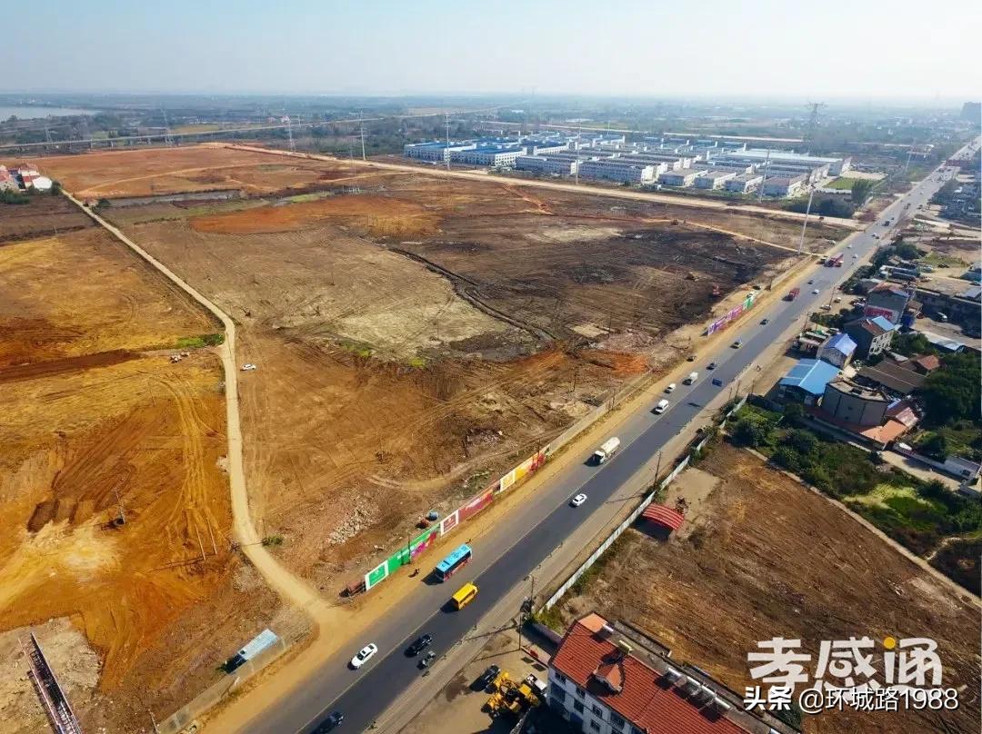 未来可期！向你展现不一样的毛陈