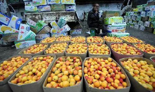 水果批发生意现状,嘉兴水果批发市场今日价格表