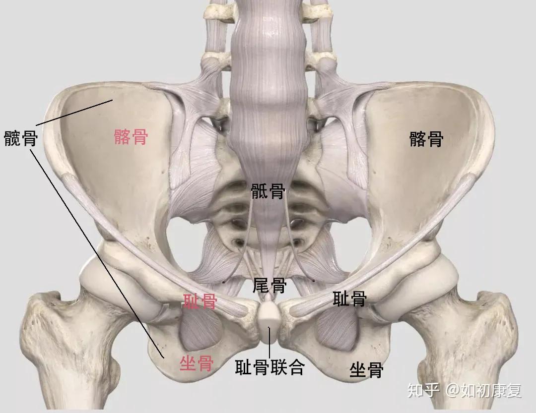 产后修复催乳有什么方法,产后修复催乳师怎么样