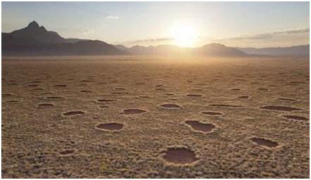 科学家未解的四大之谜,四个已经解开的未解之谜