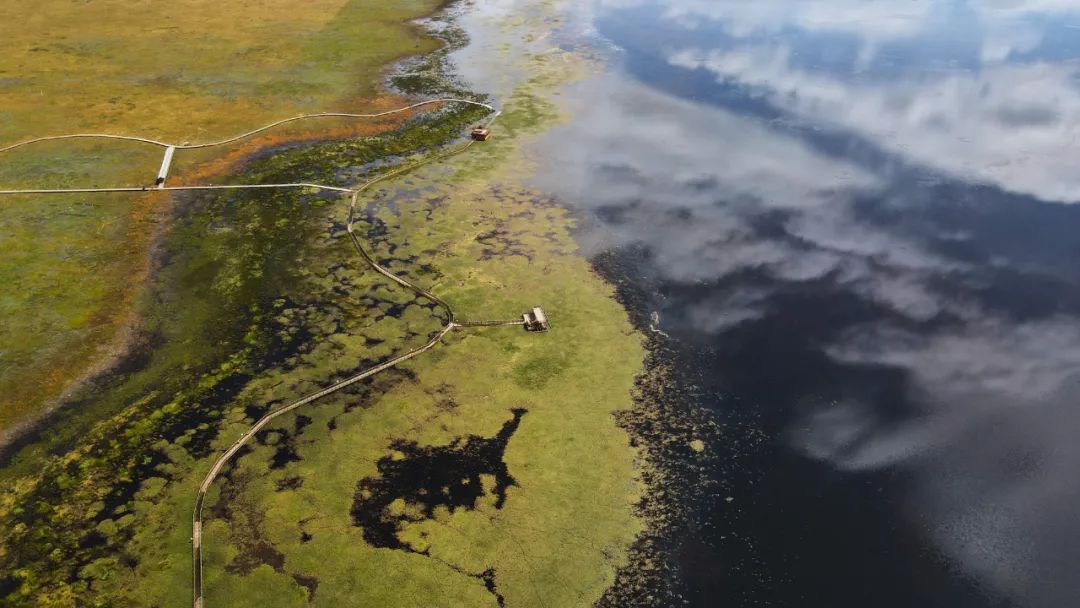 宣言中华民族,光荣属于英雄的中国人民