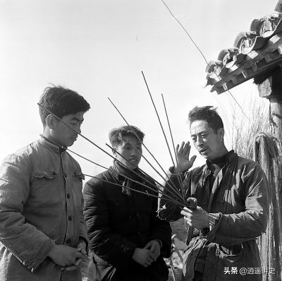 抓老鼠除蟑螂,灭四害捉老鼠