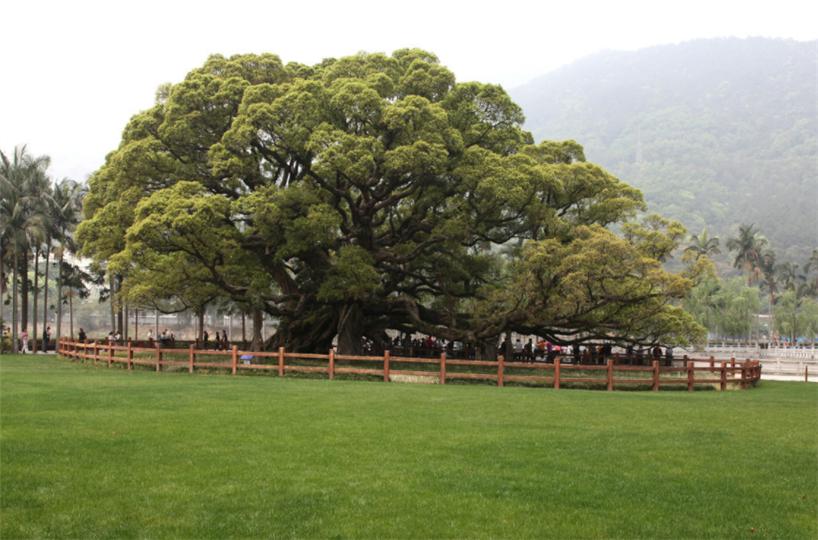 福建省福州市榕城三坊七巷图片,福州三坊七巷全国各地游客