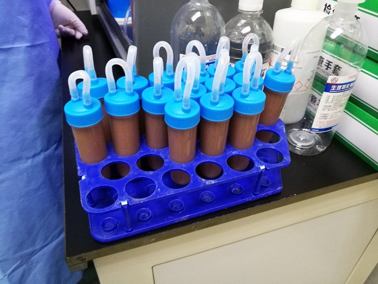 屎是不是可以治病,粪便可以治病嘛