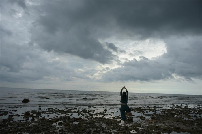 什么叫做听风就是雨,听风就是雨的人