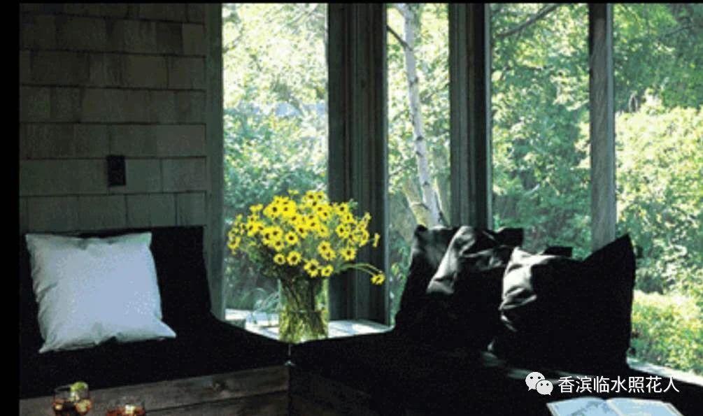 创新作文大赛第十四届获奖名单,2016创意作文大赛