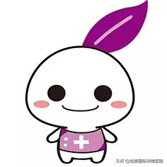 如何分辨乌龟生病,乌龟生病怎么看