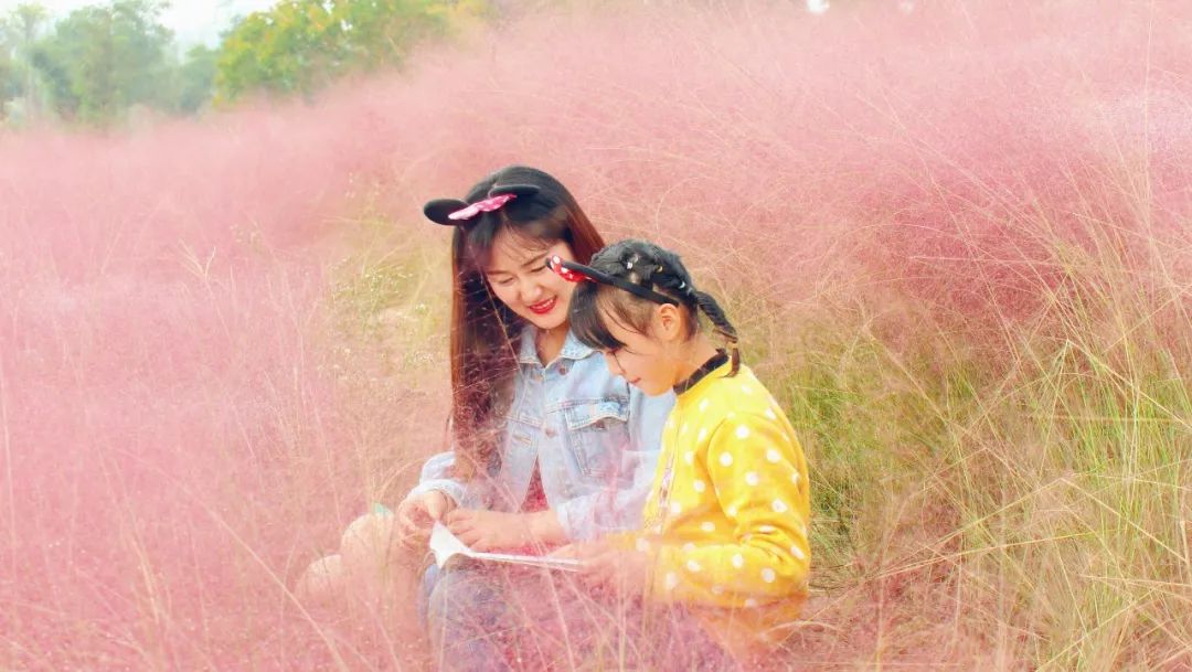 浦口最炫花海景点,浦口的花海