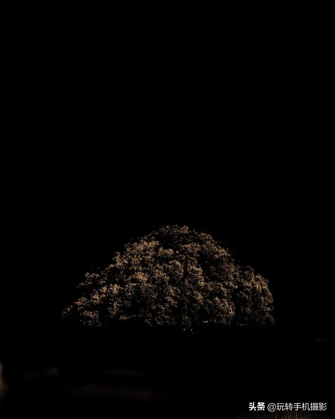 snapseed创意修图,snapseed如何把照片修出翠绿风格