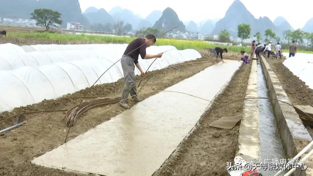 天等抢劫,天等抢钱案