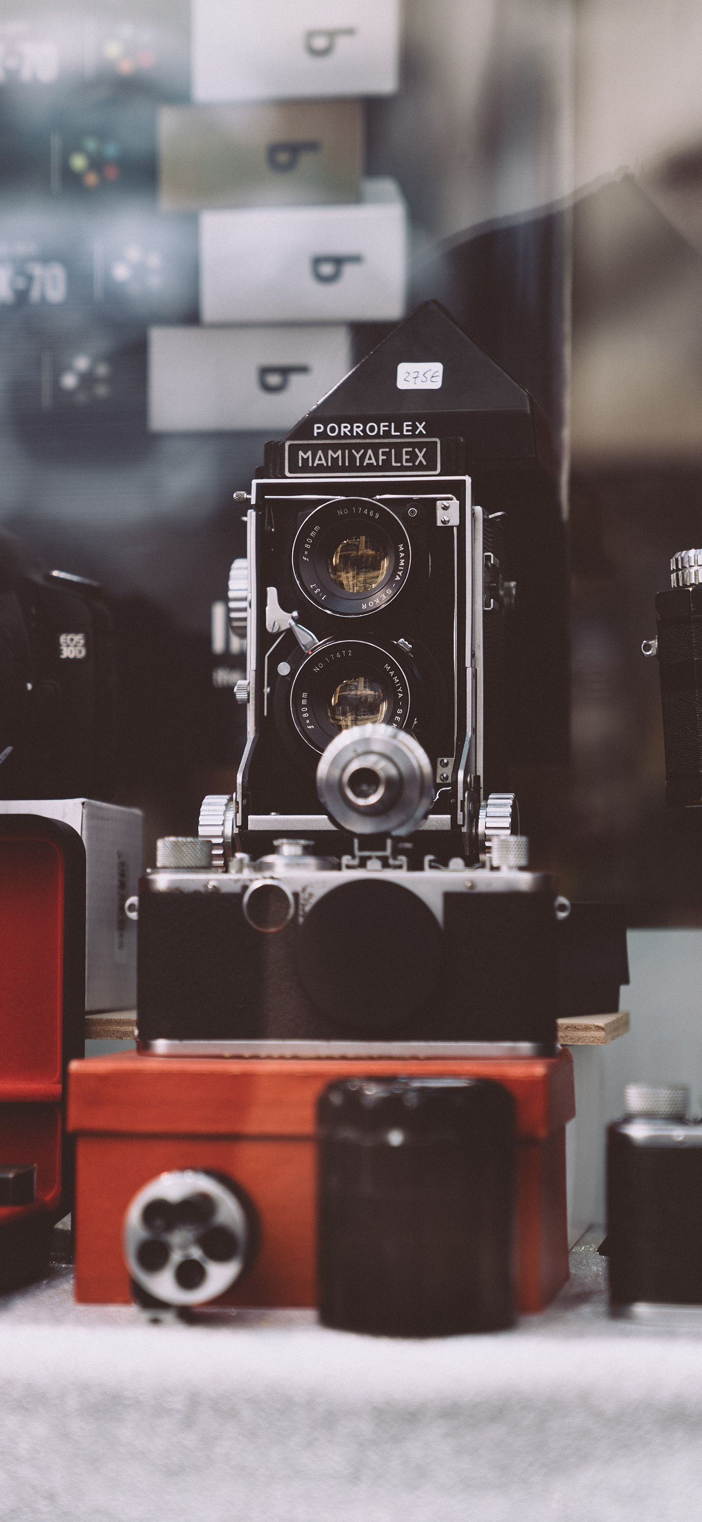 壁纸来了分享图,壁纸来了图片