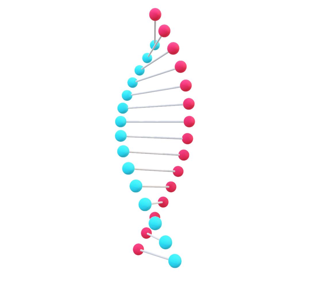 ppt如何制作3d地球旋转动画,ppt中dna双螺旋怎么画