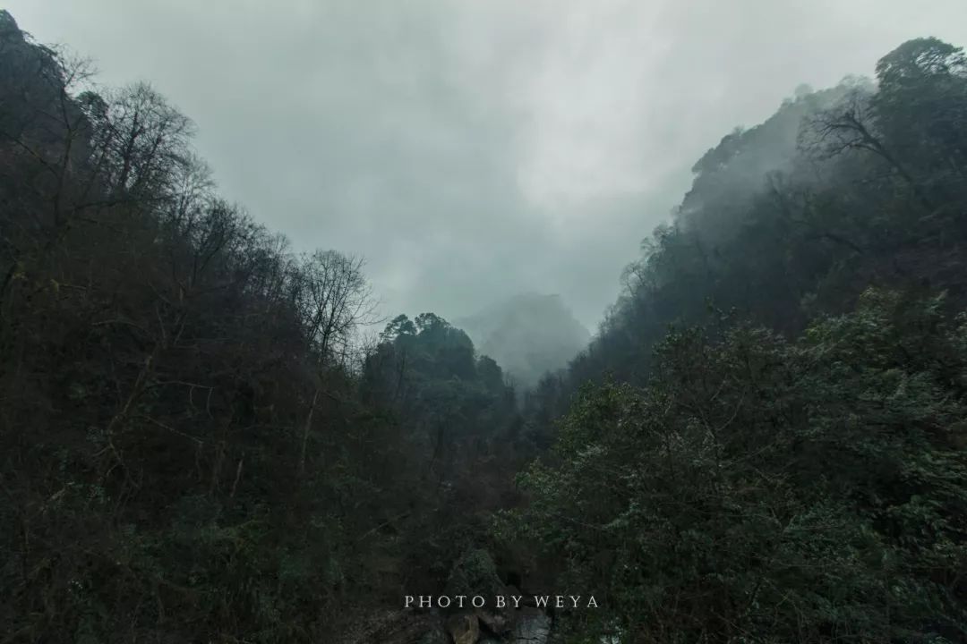 红了！黑竹沟迎来颜值巅峰，分分钟带你穿越五彩童话世界