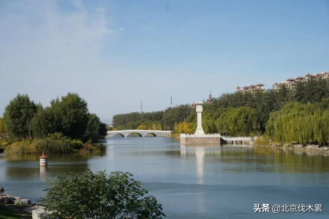 带宠物遛娃好去处,遛娃遛狗一起来