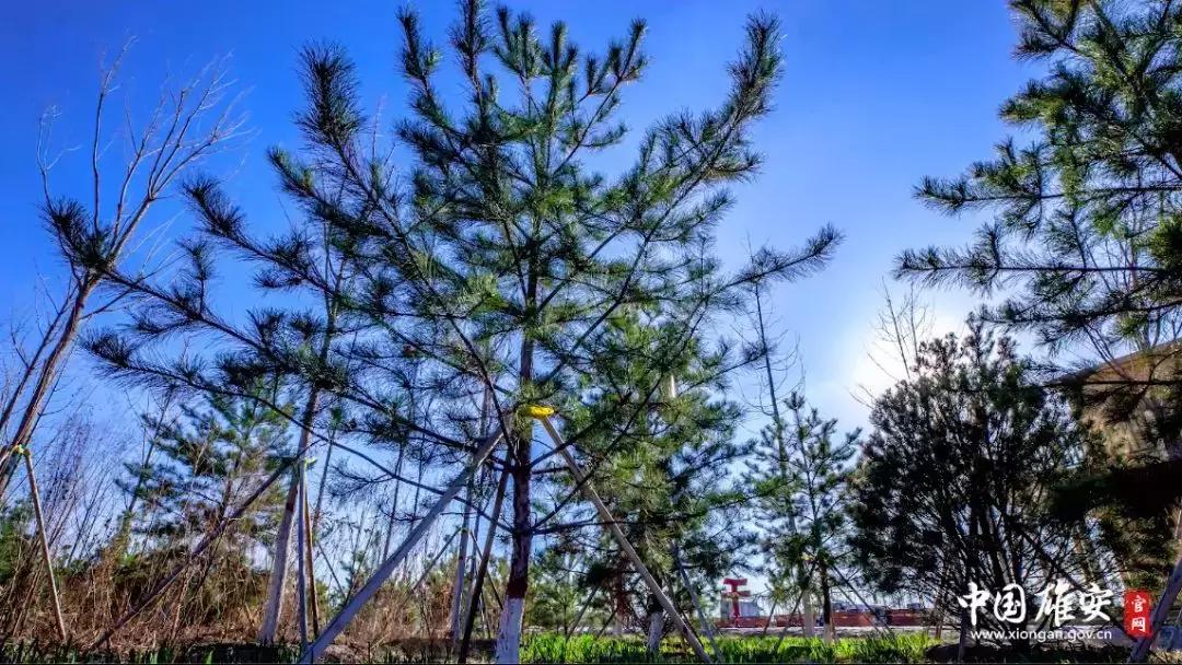 雄安必玩,雄安可以去的地方