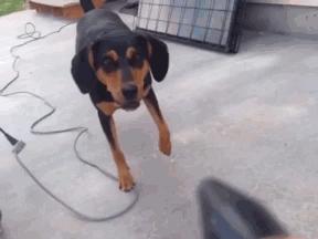 把空气压缩到十万个大气压,空压机能把空气压缩到多少