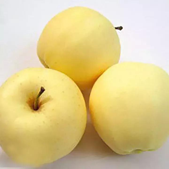 吃了这么多年的苹果竟然吃错了,好吃的苹果都有哪些品种