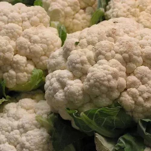 合肥菜价查询最新蔬菜价格表,今日菜价安徽合肥